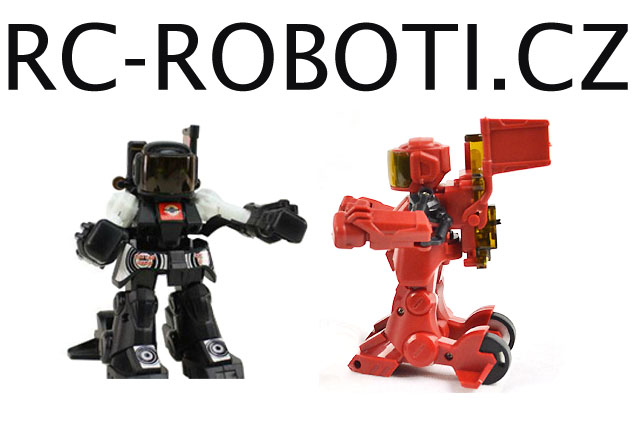 Robot